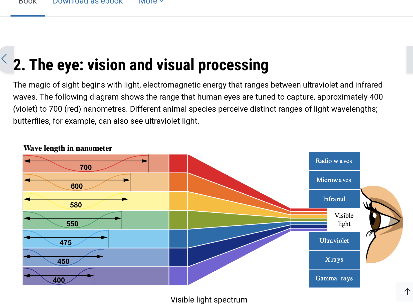 <p>Visible light. </p>