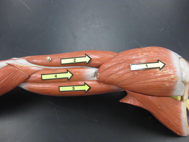 <p>What is at #1?</p>