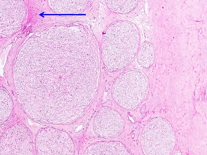 <p>Cấu trúc gì ?</p>