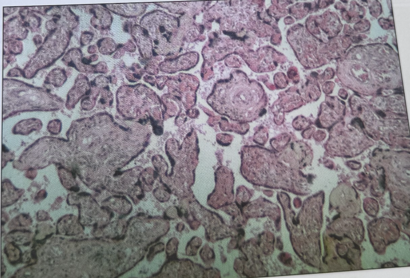 <p>what is this?</p>