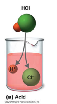 <ul><li><p><span style="background-color: transparent; font-family: "Twentieth Century", sans-serif;">Acids – produce H<sup>+</sup></span></p></li></ul><p></p>