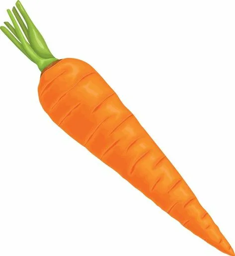 <p>Carrot</p>