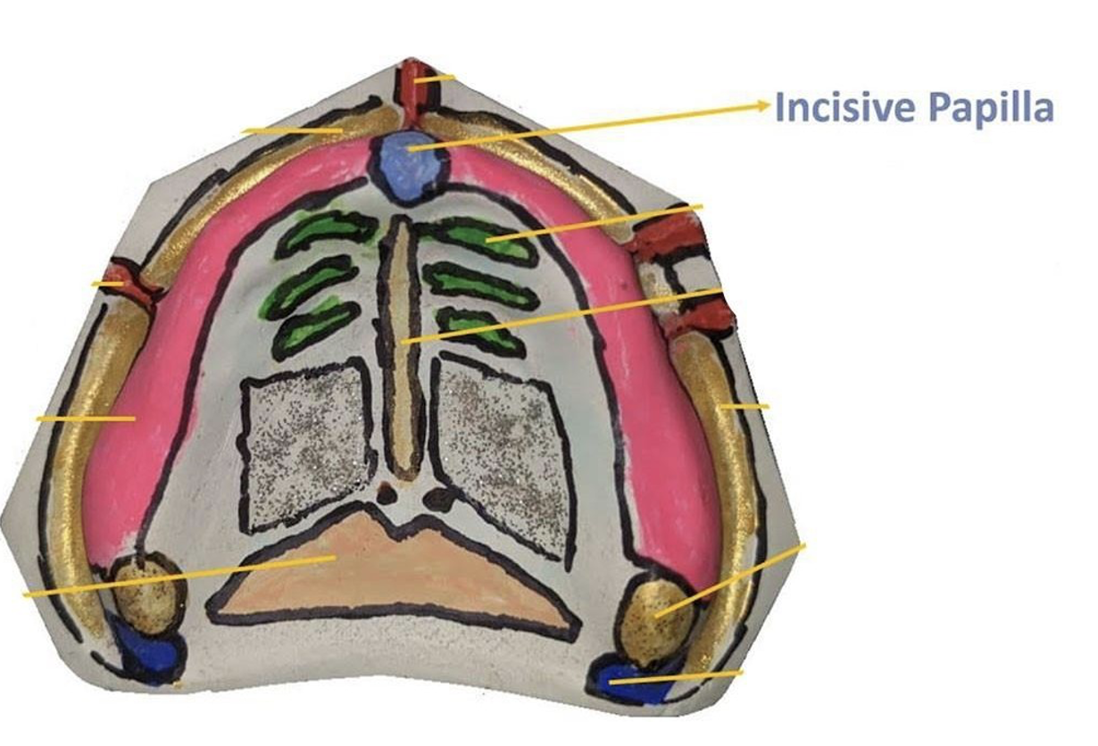knowt flashcard image