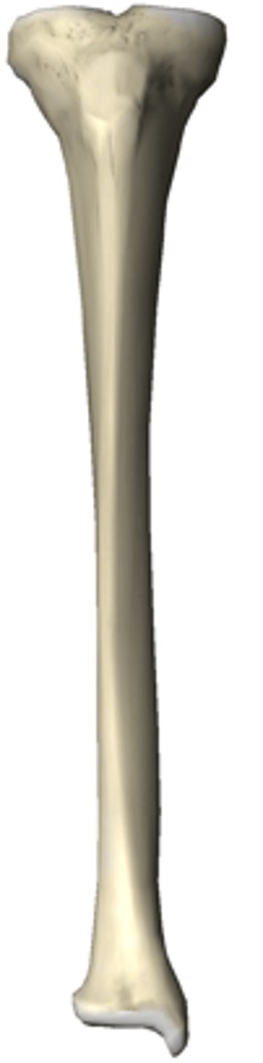 <p>right or left?</p>
