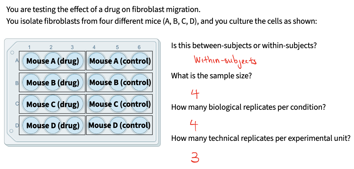 <p>Sample Size: total number of experimental units across entire experiment</p><p>Biological replicates: number of experimental units that experience each condition</p><ul><li><p>captures biological variability</p></li></ul><p>Technical replicates: number of measurements you take per experimental unit</p><ul><li><p>increases precision of measurement</p></li><li><p>does NOT capture any additional biological variation</p></li></ul><p></p>