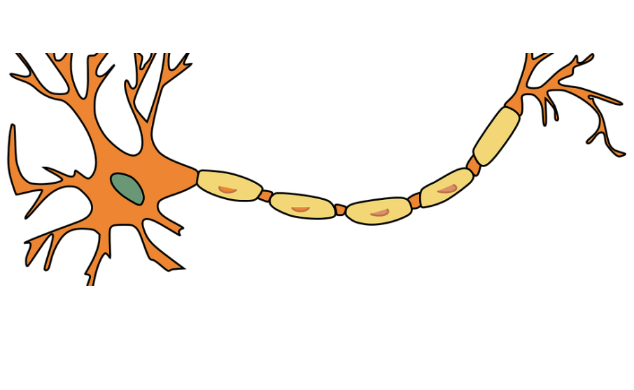 <p>chemical, thermal, or physical </p>