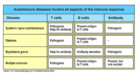 <p>Autoimmune Disease Causes </p>