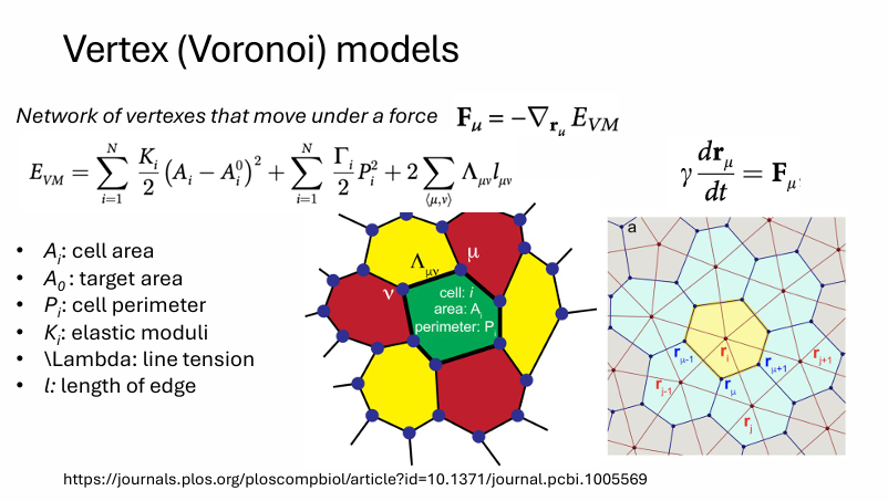 <p>Fu=- vector ru EVM</p>
