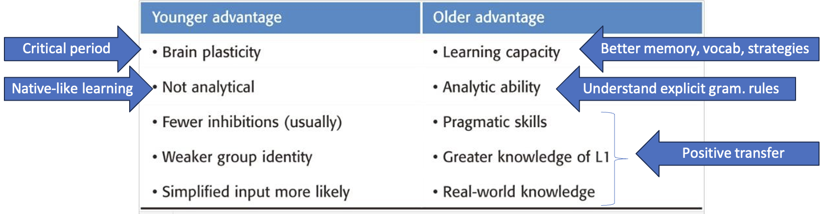 <p><strong>_________: The initial rate (the speed at which L2 material is learned early in the L2 learning process): adults have an advantage. Ultimate achievement (the “end” result of L2 study): children are more successful.</strong></p><ul><li><p><span><span>As a result, children may learn better in a naturalistic/informal way, while adults may learn better with formal instruction</span></span></p></li></ul><p></p>