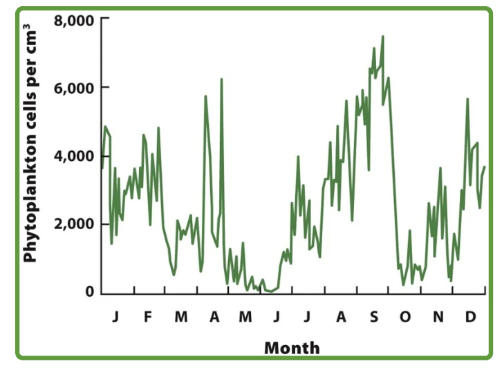 <p>population fluctuations</p><p>over a single year, algae population in Lake Erir exhibits wide fluctuations from 0-7,000 cells per m³</p>
