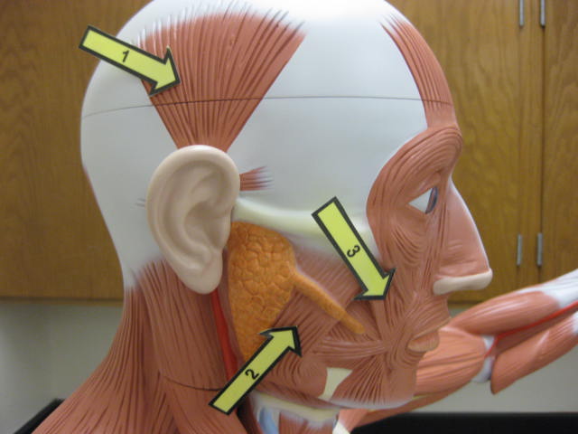 <p>What is at #1?</p>