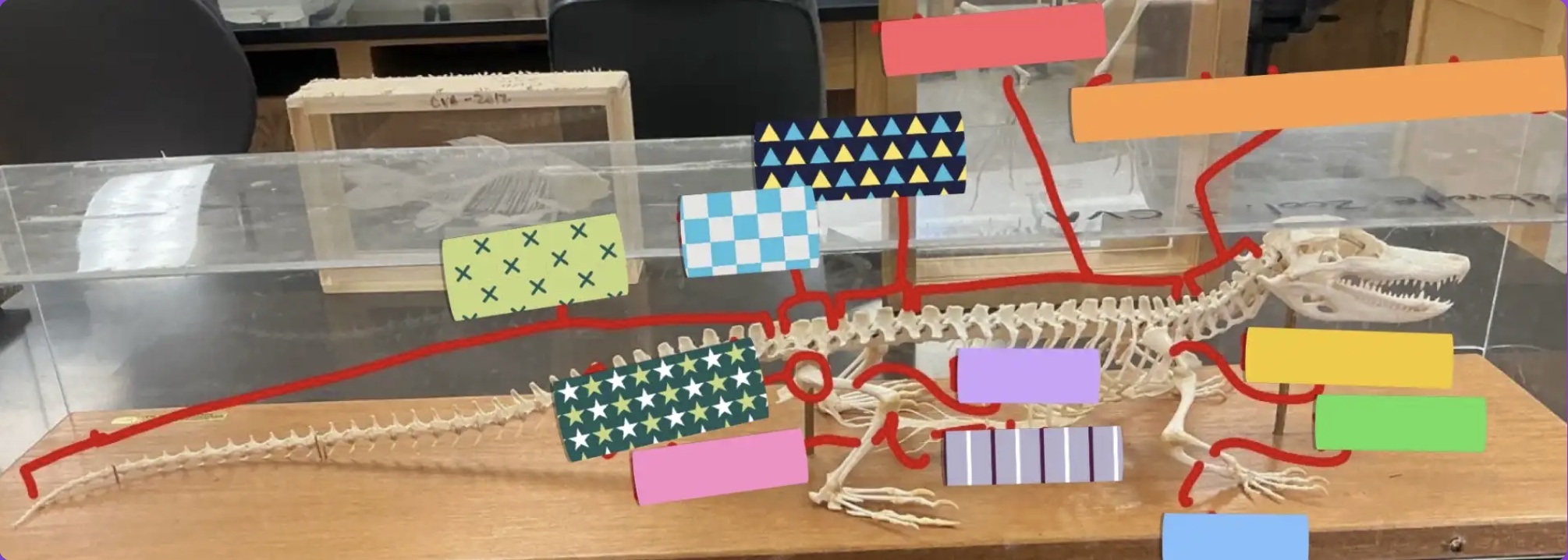 <p>What does the striped box represent?</p>