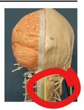 <p>what is this structure </p>