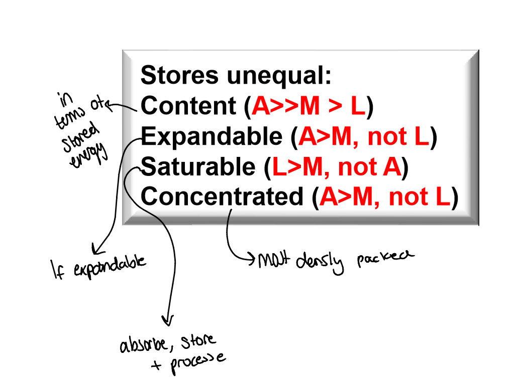 <p>Adipose tissue → muscle → liver </p>
