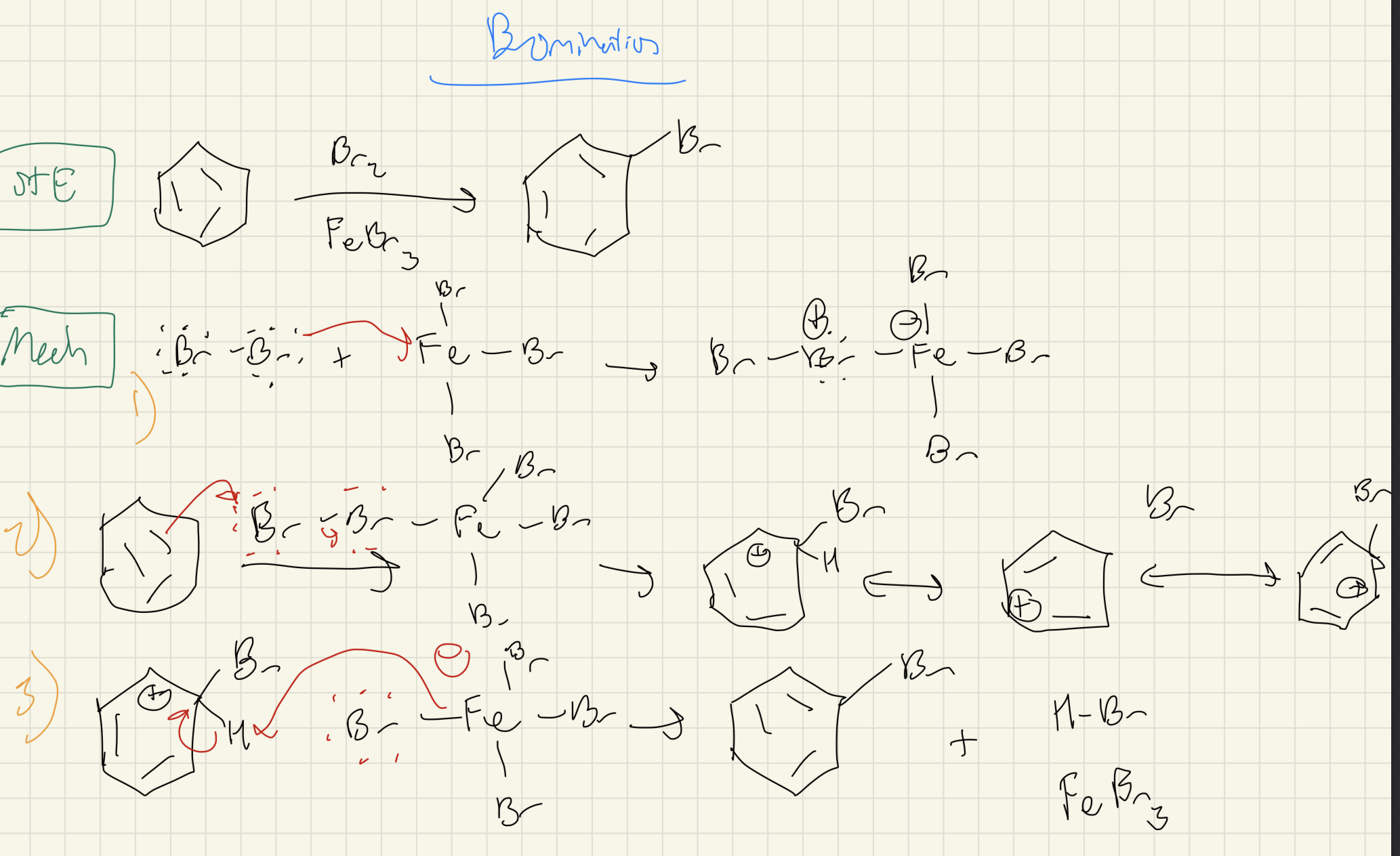 <p><strong>Benzene → <u>Halogenation</u></strong></p><p></p><p>1) Form Electrophile: X2 and Al/FeX3 bind</p><p>2) Attack Electrophile: 3 Resonance Structures Form</p><p>3) Restore Aromaticity: H is deprotonated by extra X to form Aryl Halogen, H-X, and MetalX3</p>