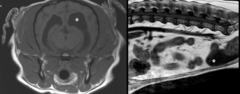 <p>fluid is hypointense (BLACK) bc they have long relaxation times</p><p>fat is hyperintense (WHITE) bc it has short relaxation times</p>