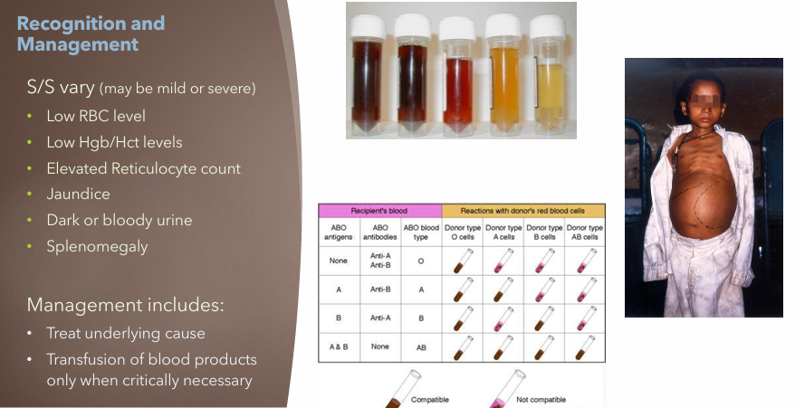 <ul><li><p>Treat underlying cause</p></li><li><p>Transfusion of blood products only when critically necessary</p></li></ul><p></p>