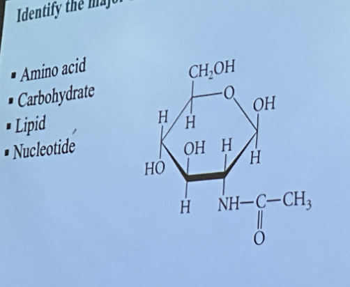 <p>(CH2O)n. Has many hydroxyl groups (-OH). Carbohydrates usually contain multiple alcohol (hydroxyl) groups attached to carbon atoms. These -OH groups make carbohydrates polar and water-soluble. Contains a carbonyl group (aldehyde or ketone group). Rings structures are common (5- and 6-membered rings). </p>