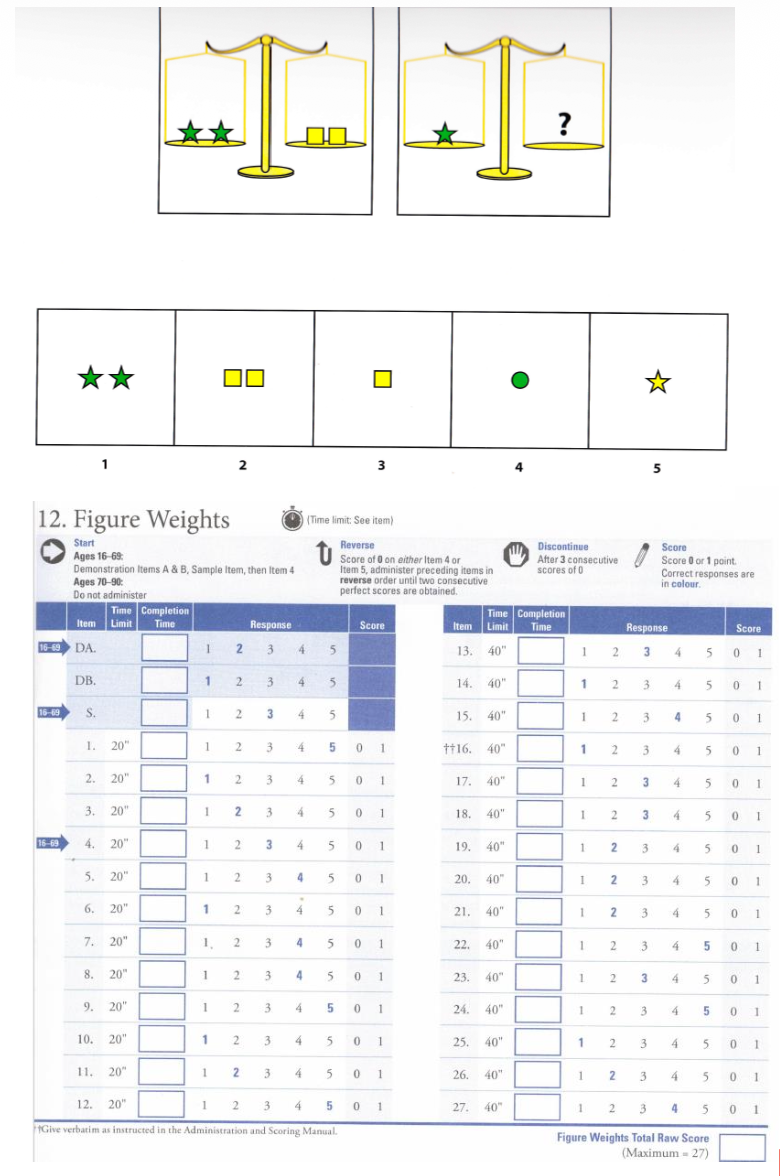 <ul><li><p><strong><mark data-color="purple" style="background-color: purple; color: inherit;">views a scale with missing weights &amp; selects the response option that keeps the scale balanced in a limited time</mark></strong></p></li></ul><p></p>
