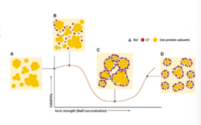 <p>very low salt</p><ul><li><p>proteins repel each other due to strong neg. or pos. charge of proteins</p></li></ul><p>low ionic strength</p><ul><li><p>ions neutralise charges at the surface of proteins and solubility decreases due to aggregation</p></li></ul><p>high salt</p><ul><li><p>anionic counter ions preferentially attach to cationic patches on the protein surfaces which increase neg. charge on the proteins and thus electrostatic repulsion and solubility increases</p></li></ul><p></p>