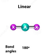 <p>linear &amp; 180</p><p></p><p>-symmetrical</p>