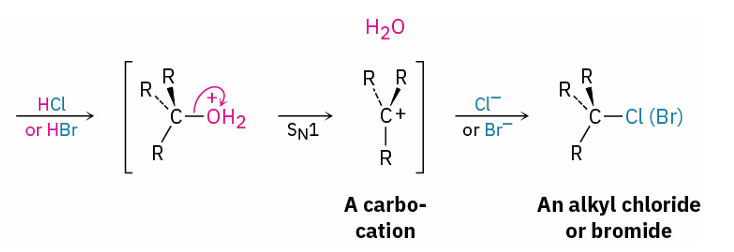 <ul><li><p>HBr/ HCl</p></li><li><p>SN1</p></li></ul><p></p>