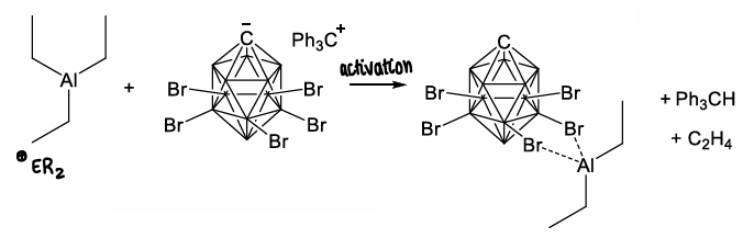 <p>A aluminium cation containing compound.</p><p>Can be formed via removal of an R group, such as by activation by a carborane.</p>