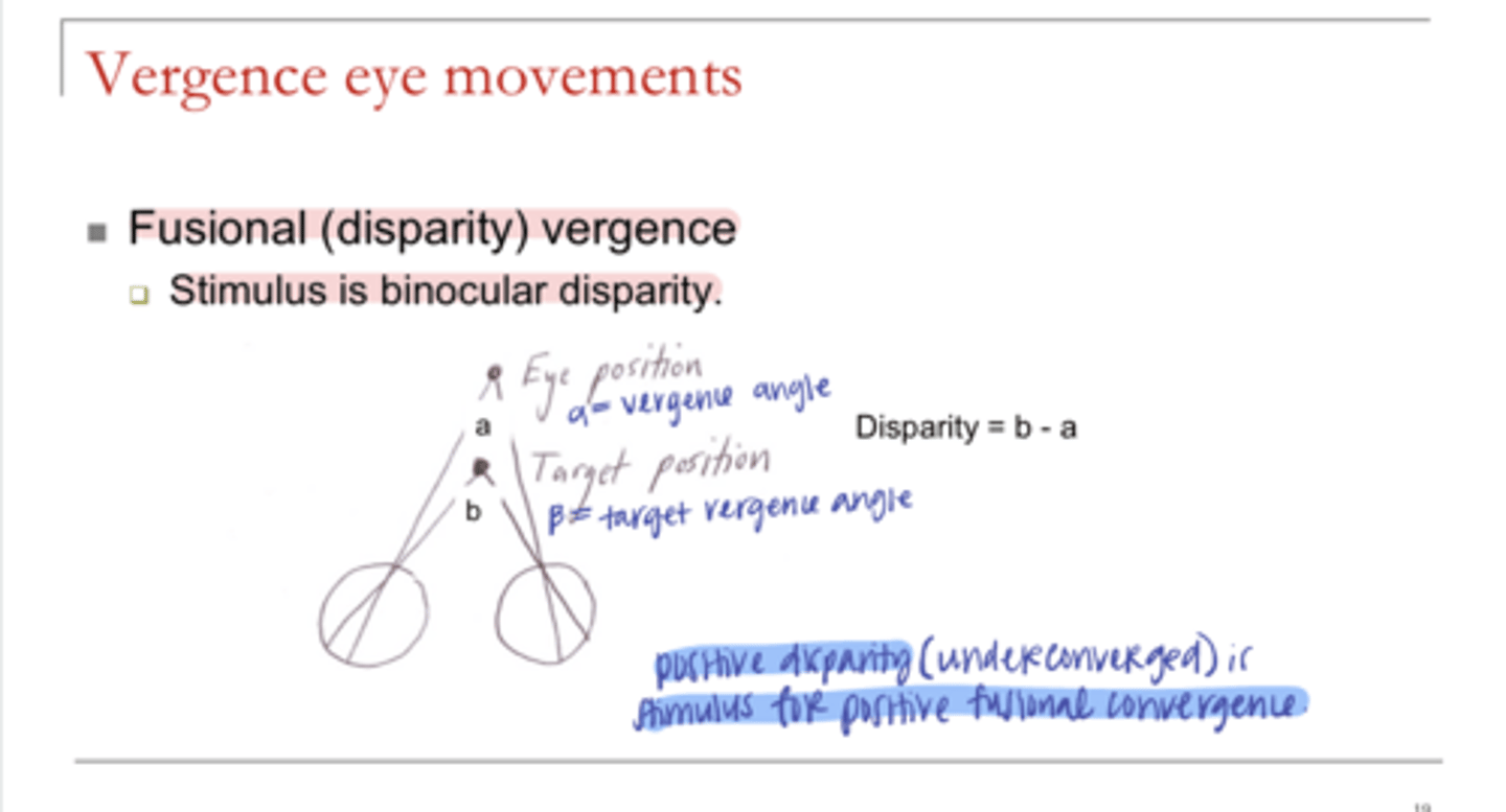 <p>What is the equation for disparity?</p>