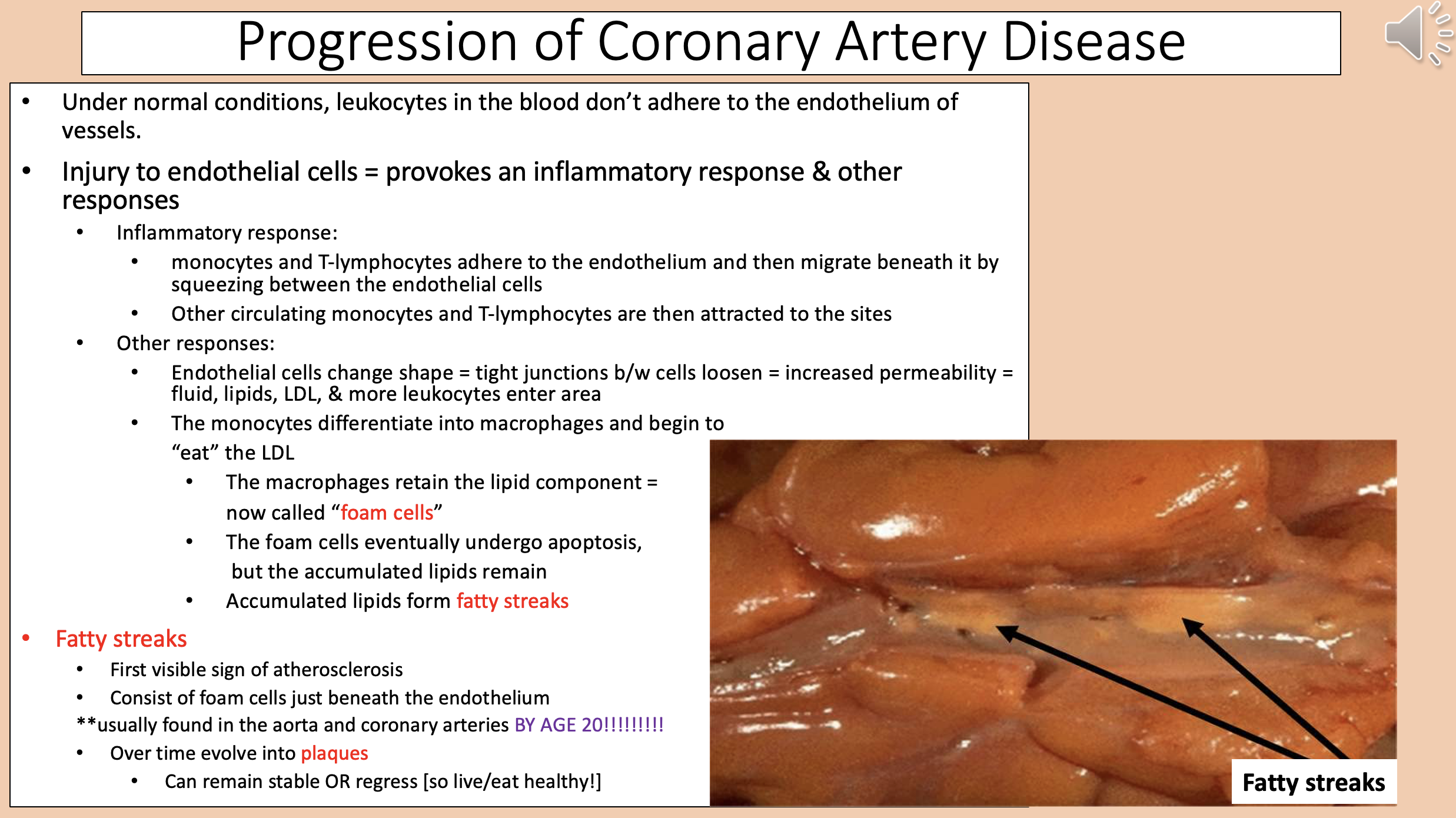 <p><span>coronary artery disease other responses</span></p>