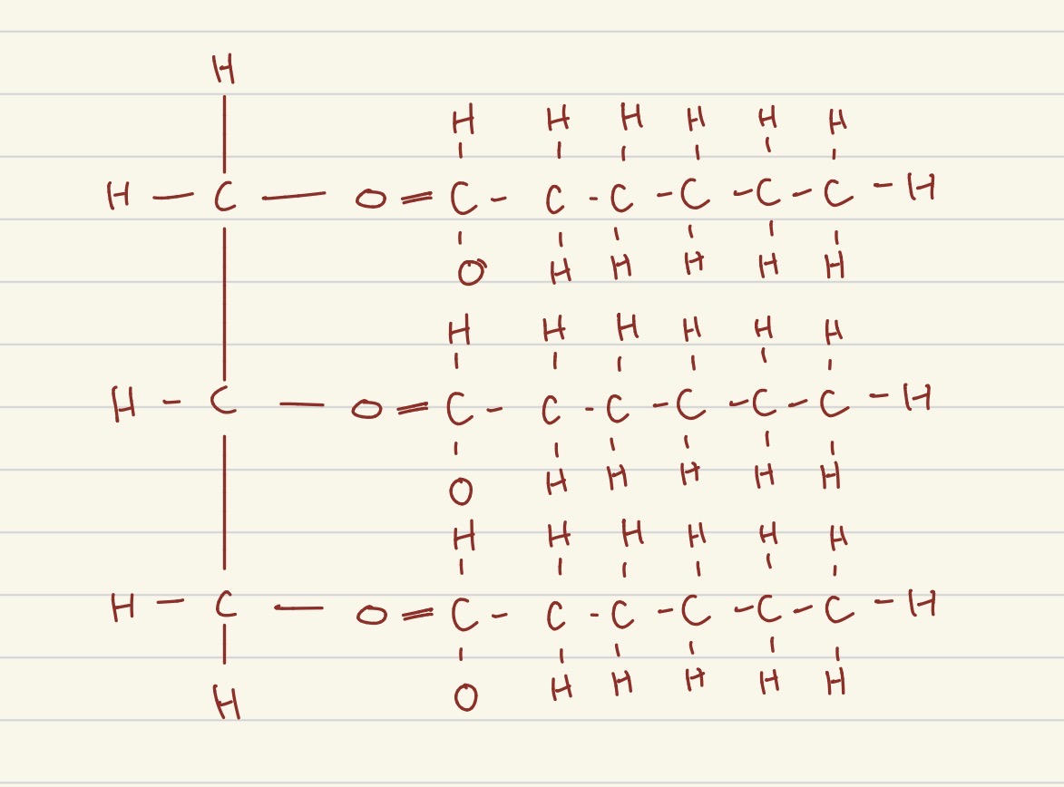 <p>what structure is this?</p>