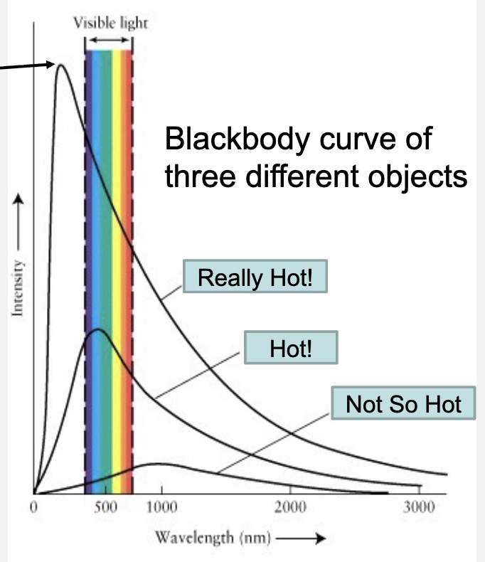 <ul><li><p>the wavelength at which a hot object (a metal rod or a star) emits the most electromagnetic radiation is inversely proportional to the temperature of the object</p></li></ul><ol><li><p>the peak wavelength is the wavelength at which most of the radiation is given off</p></li><li><p>the hotter the object, the peak light emitted shifts to the left: shorter wavelength</p></li></ol><p></p>