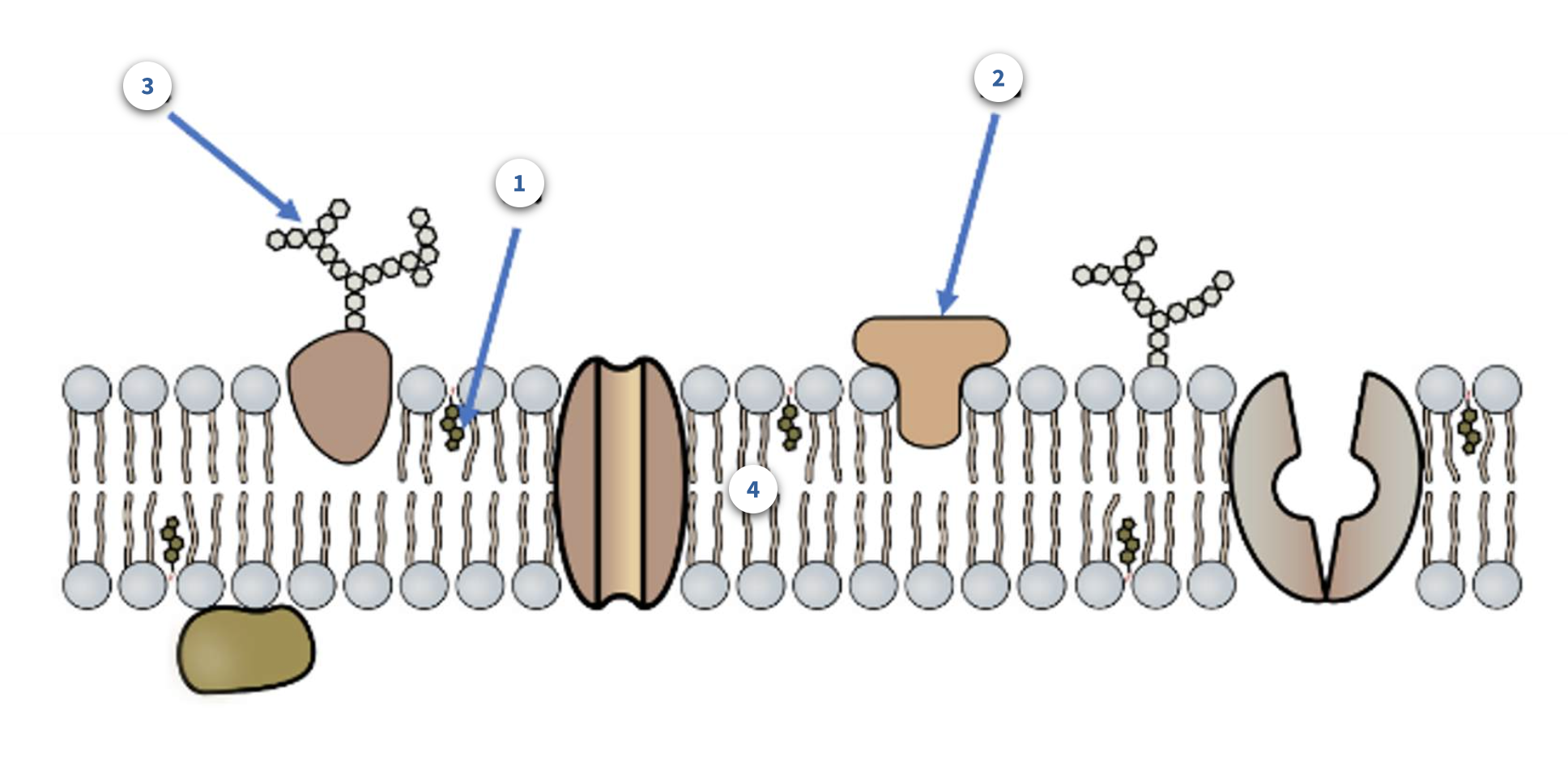 <p>1</p>