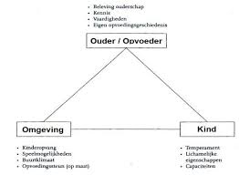 <p>transactioneel ontwikkelingsmodel/-proces</p>