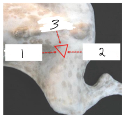 <p>2</p>
