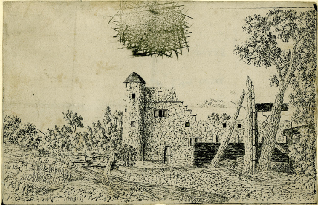 term image