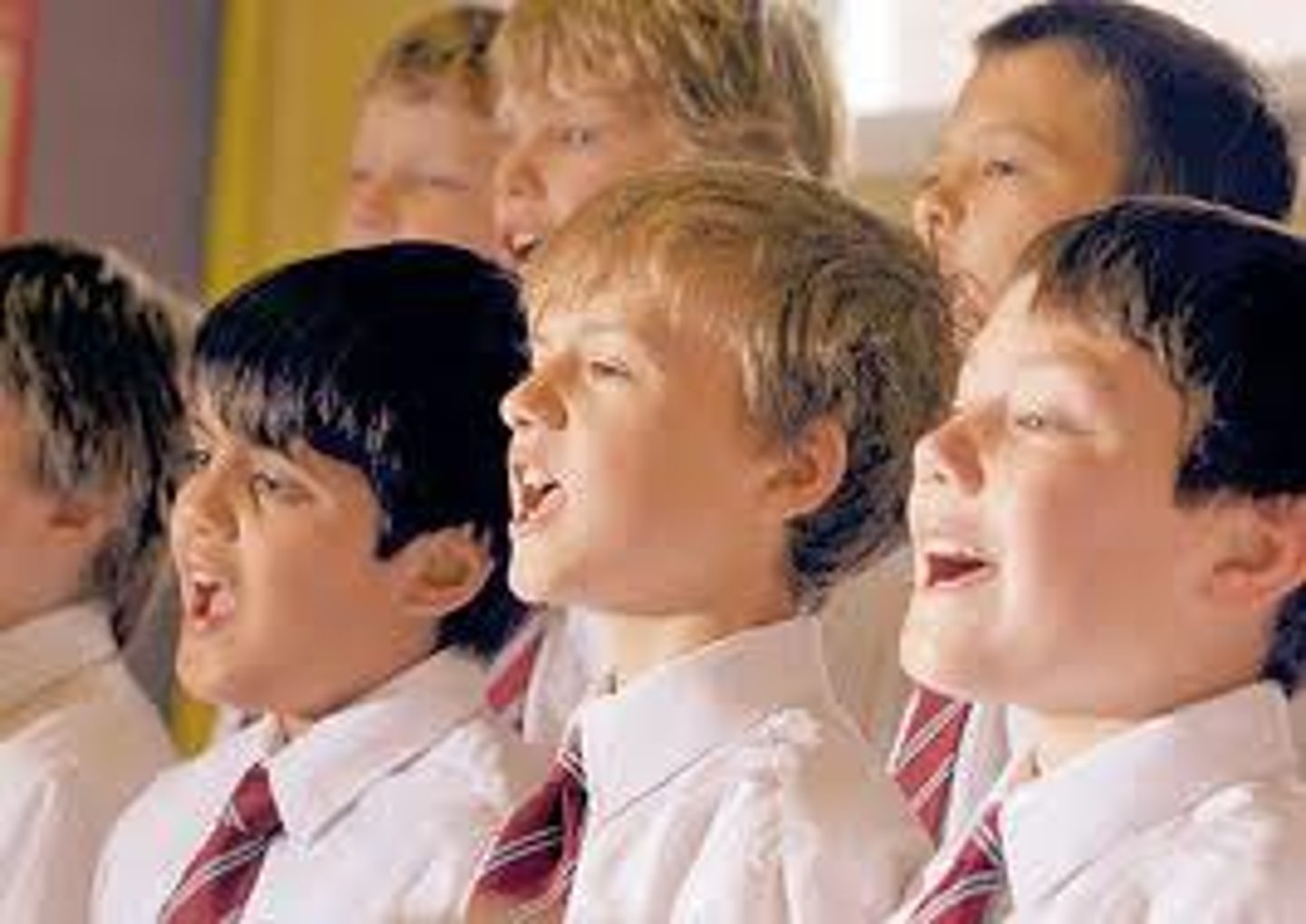 <p>Vosotros __________ (poder) cantar en el coro este año.</p>
