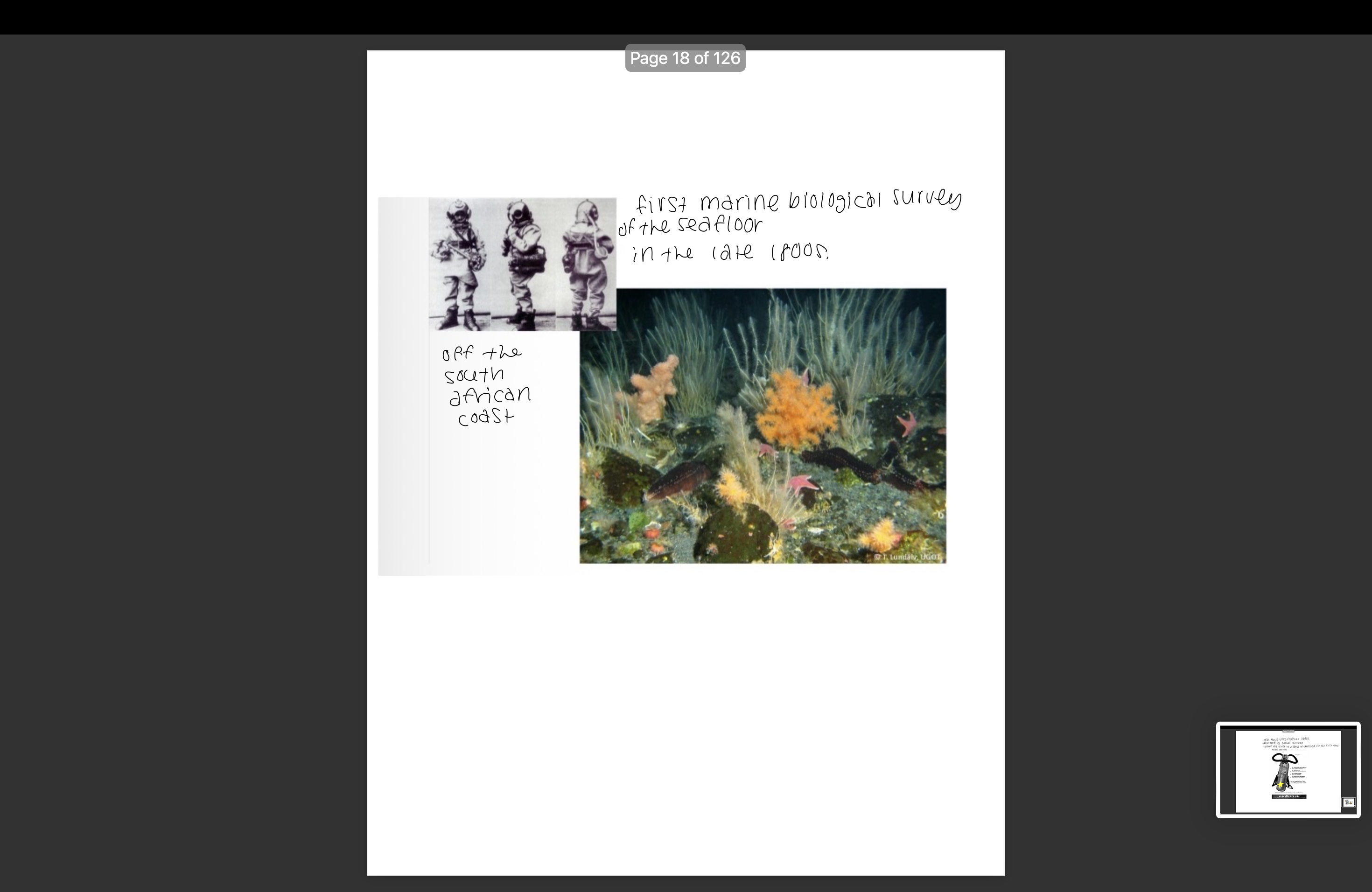 knowt flashcard image