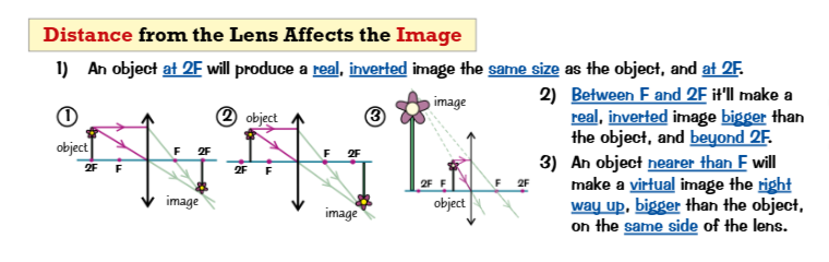 <ul><li><p>If the object is at <strong>2F (twice the focal length)</strong>:</p><ul><li><p>The image is <strong>real</strong></p></li><li><p><strong>Inverted</strong></p></li><li><p><strong>Same size</strong> as the object</p></li><li><p>Formed at <strong>2F on the other side</strong></p></li></ul></li><li><p>If the object is between <strong>F and 2F</strong>:</p><ul><li><p>The image is <strong>real</strong></p></li><li><p><strong>Inverted</strong></p></li><li><p><strong>Magnified (larger than the object)</strong></p></li><li><p>Formed <strong>beyond 2F</strong></p></li></ul></li><li><p>If the object is <strong>closer than F (inside the focal length)</strong>:</p><ul><li><p>The image is <strong>virtual</strong></p></li><li><p><strong>Upright</strong></p></li><li><p><strong>Magnified</strong></p></li><li><p>Appears on the <strong>same side of the lens as the object</strong></p></li></ul></li></ul><p></p>