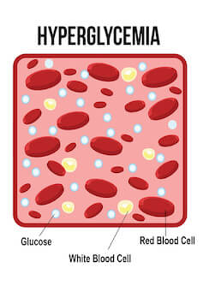 <p>Blood glucose levels are too high</p>