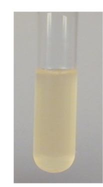 <p>Describe broth. Can you tell what kind of bacteria is on it?</p>