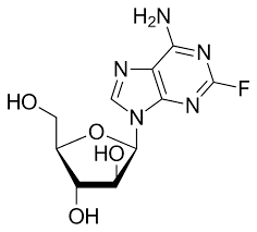 <p>fludarabine (trifosfaat)</p><p>(en fludarabine difosfaat metaboliet)</p>