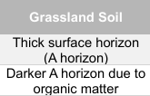 <p>What formation in forest soil based on the table?</p>