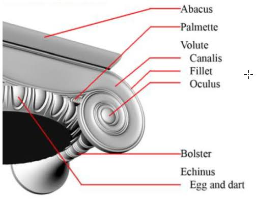 <p>In an Ionic capital, the cylindrical or slightly concave element connecting the two volutes, visible on the sides.<br>the roll of the scroll</p>
