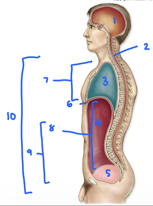 <p>4</p>