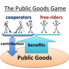 <p>A problem that arises when individuals presume that others will pay for public good so that, individually, they can escape paying for their portion without causing a reduction in production.</p>