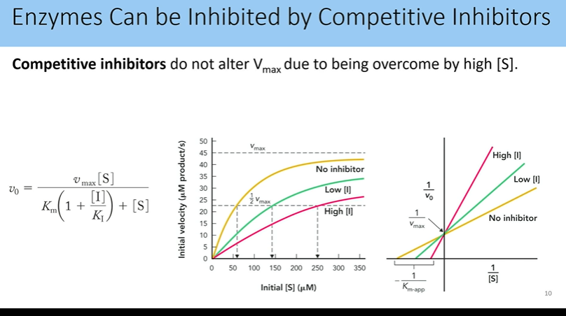 <p>they do not due to being overcome by high [s]</p><ul><li><p>km is apparent instead of proper bc of high level of substrate</p></li><li><p>km increase, but vmax is not alterned because you can overcome comp inhibition</p></li></ul><p></p>