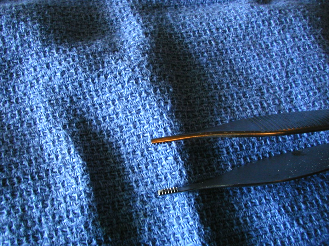 <p><span style="background-color: transparent;">Brown-Adson Tissue forceps</span></p>