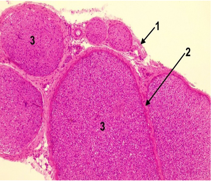 <p>2</p>