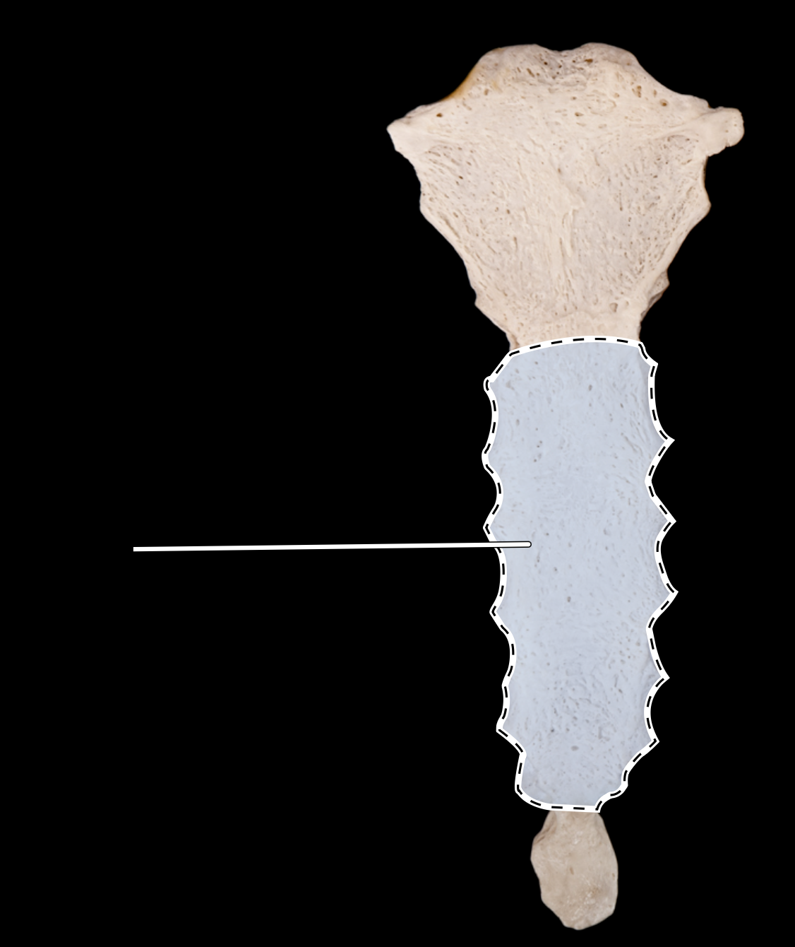 knowt flashcard image