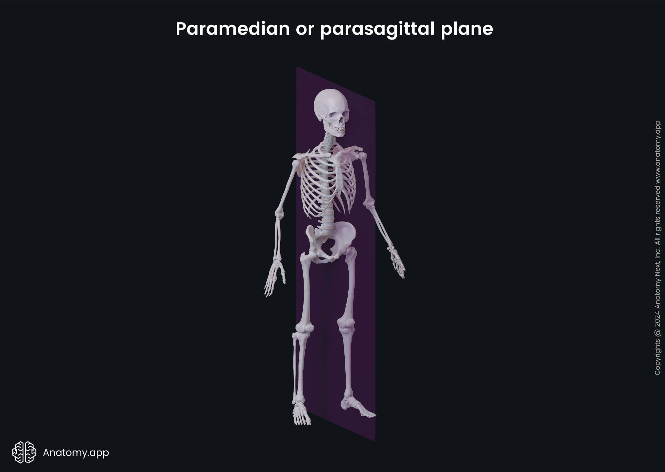 <p><strong>Paramedian</strong> <strong>plane</strong> refers to an antero-posterior sagittal plane that lies lateral to–but in close proximity of–the median sagittal plane.</p><p>Like all other sagittal planes, the <strong>paramedian</strong> <strong>plane</strong> also lies at right angle to the vertically-oriented coronal plane, while it perpendicularly intersects the transverse (or horizontal) plane.</p>
